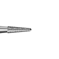 Sonda  William + Explorer Holst