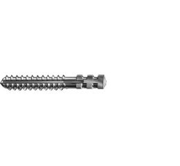 Čep BKS L8mm 2