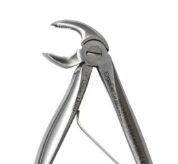 Kleště č.6, dolní molárové