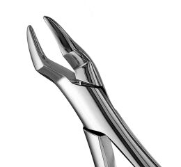 Forceps #286 SM Premolar roots