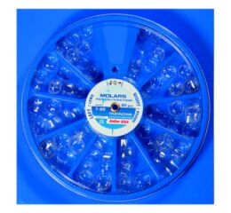 Korunky transparentní molárové 80ks