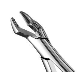Forceps #10S SM Molar