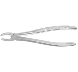 Kleště č.1 Europ. SM anterior