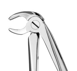 Forceps #13 Europ., SM premolar