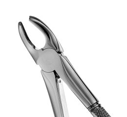 Forceps children #39 child SM 1-3 Molar