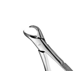 Forceps Atlas, Cowhorn