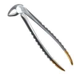 Kleště diamant vel.33A spodní řezákové, premoláry