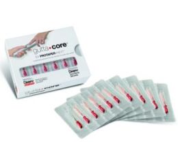 GuttaCore Pink pro Protaper Next, 5x6ks X3