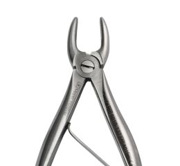 Kleště č.137, horní řezáky