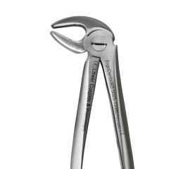 Diamantové kleště č.13 dolní Špičákové/Premolárové