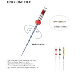 Only One File blue 31mm, R40, 6ks