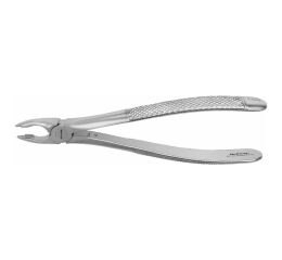Forceps #34 Europ. SM anterior