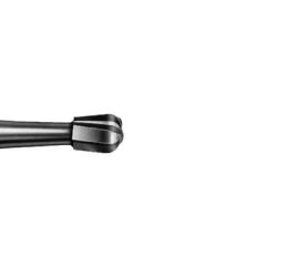 Tvrdokov hruška  D19mm 012