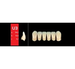 Ref-Line Anterior D2 U3 zuby