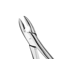 Forceps Atlas, upper anterior