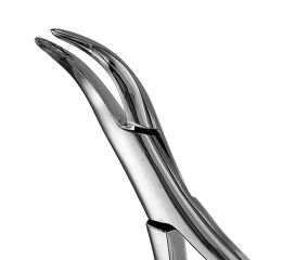 Forceps #301 IM roots