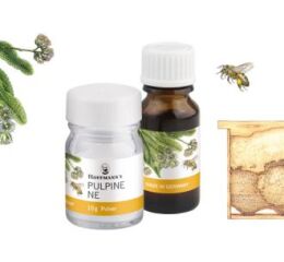 Pulpine NE liquid 10ml