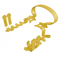 Hallerova spona - 2A