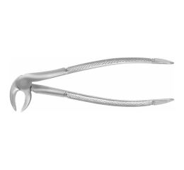 Forceps #33 Europ., IM Roots, EU