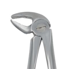 Kleště č.13K Premolárové, dolní