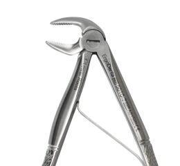 Kleště č.7, dolní kořenové