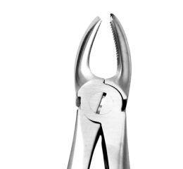 Kleště č.17. horní molárové, pravé
