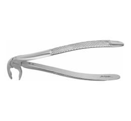 Forceps #36 Europ., IM premolar