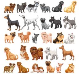 Dog Stickers