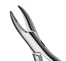 Forceps #1 Standard Pedo
