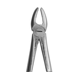 Kleště č.1. horní řezákové a molárové