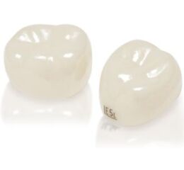 NuSmile ZR Posterior Crown Light 1ks