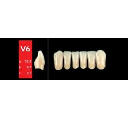 Ref-Line Anterior A3 V6 zuby