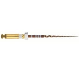 Protaper Gold 31mm, S2, 6ks
