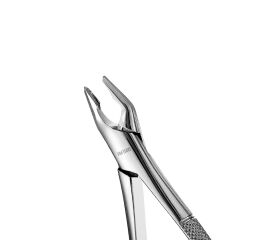 Forceps Atlas, Apical, Upper Universal