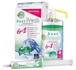 Dent Fresh Mint Start Pack 50ml