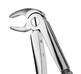 Forceps #22 Europ., IM Molar