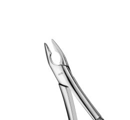 Forceps Atlas, Apical, Upper Anterior