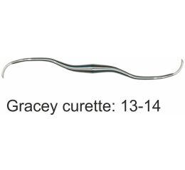 Kyreta Gracey 13-14