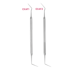 Explorer Endo #1 Al-Fouzan
