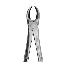 Kleště č.87. dolní molárové