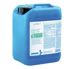 Gigasept Instru AF 5l