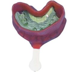 Emboxing Wax ardent's 500g