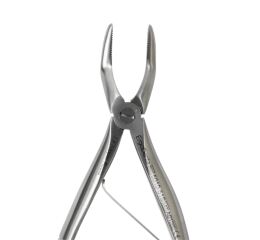 Kleště č.51S, horní kořenové