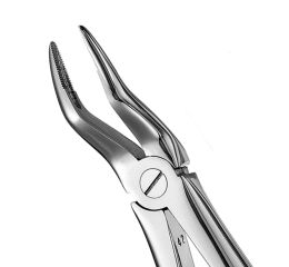 Forceps #51 Europ. SM Roots