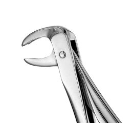 Forceps #73 Europ., IM Molar
