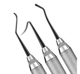 Goldfogel XTS Instruments Posterior Set