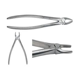 Kleště řezákové, horní