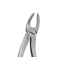 Diamantové kleště č.  99. Hertz (dolní molárové)