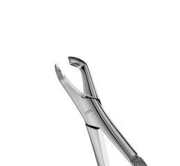 Forceps Atlas, Lower Molar