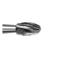 Tvrdokov vajíčko   D21mm 023